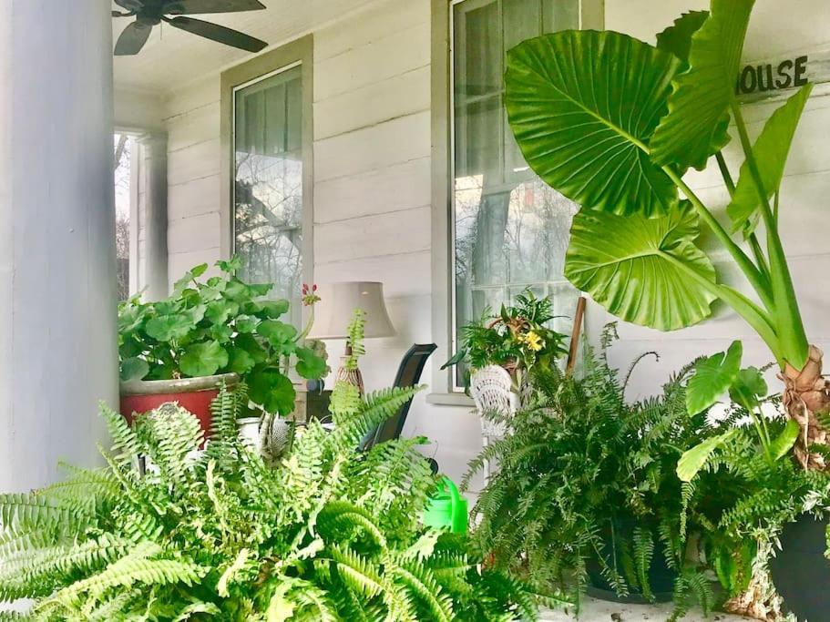 The Farmhouse Private Apartments Eufaula Εξωτερικό φωτογραφία